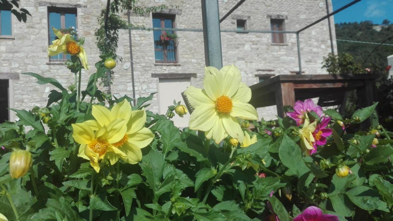 Casale Le Fontanelle Hotel Monte Grimano Terme Екстериор снимка