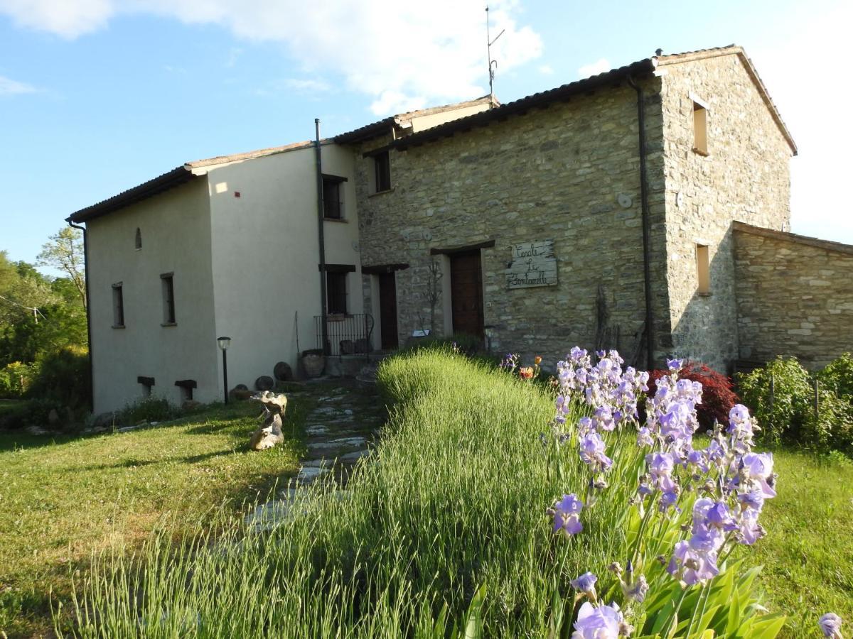 Casale Le Fontanelle Hotel Monte Grimano Terme Екстериор снимка